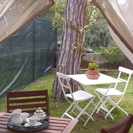 Bed & Breakfast Dimora Casabianca And Family Relais Tirrenia